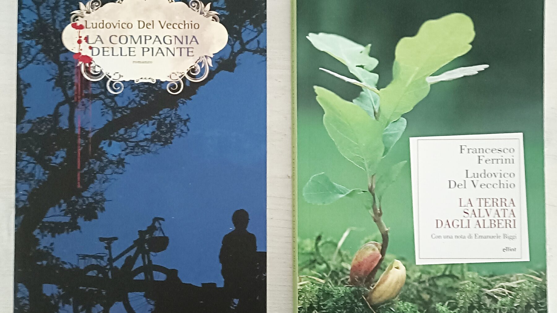 Fili di parole a Crevalcore